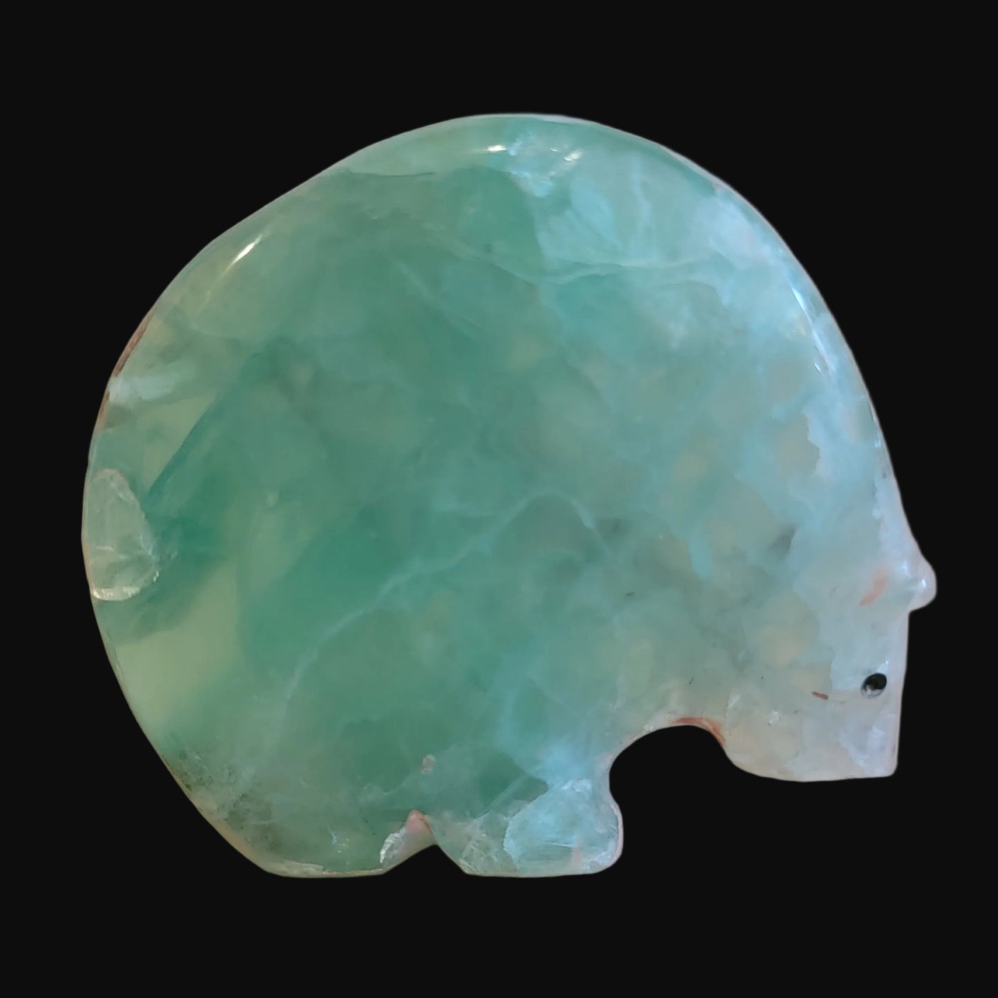 Elegant Fluorite Medicine Bear w/ Coral Heartline Zuni Fetish