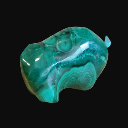 Magnificent Malachite Bison/Buffalo Zuni Fetish