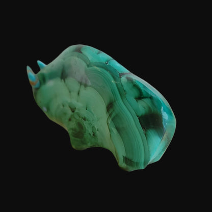 Magnificent Malachite Bison/Buffalo Zuni Fetish
