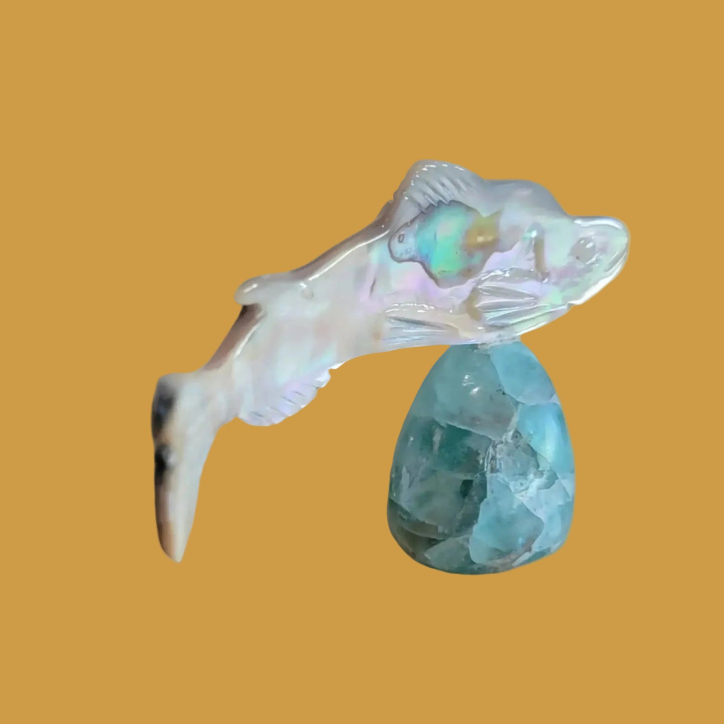 Silver Lip Shell Fish w/Fluorite Base Zuni Fetish
