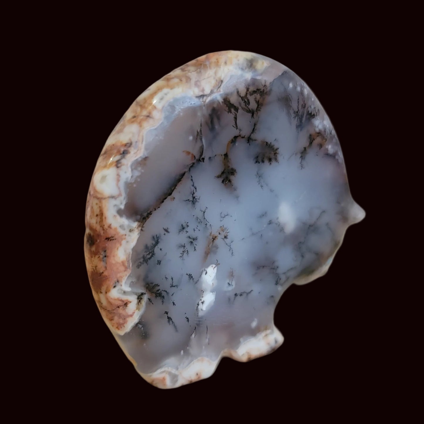 Dendritic Agate Zuni Fetish Medine Bear
