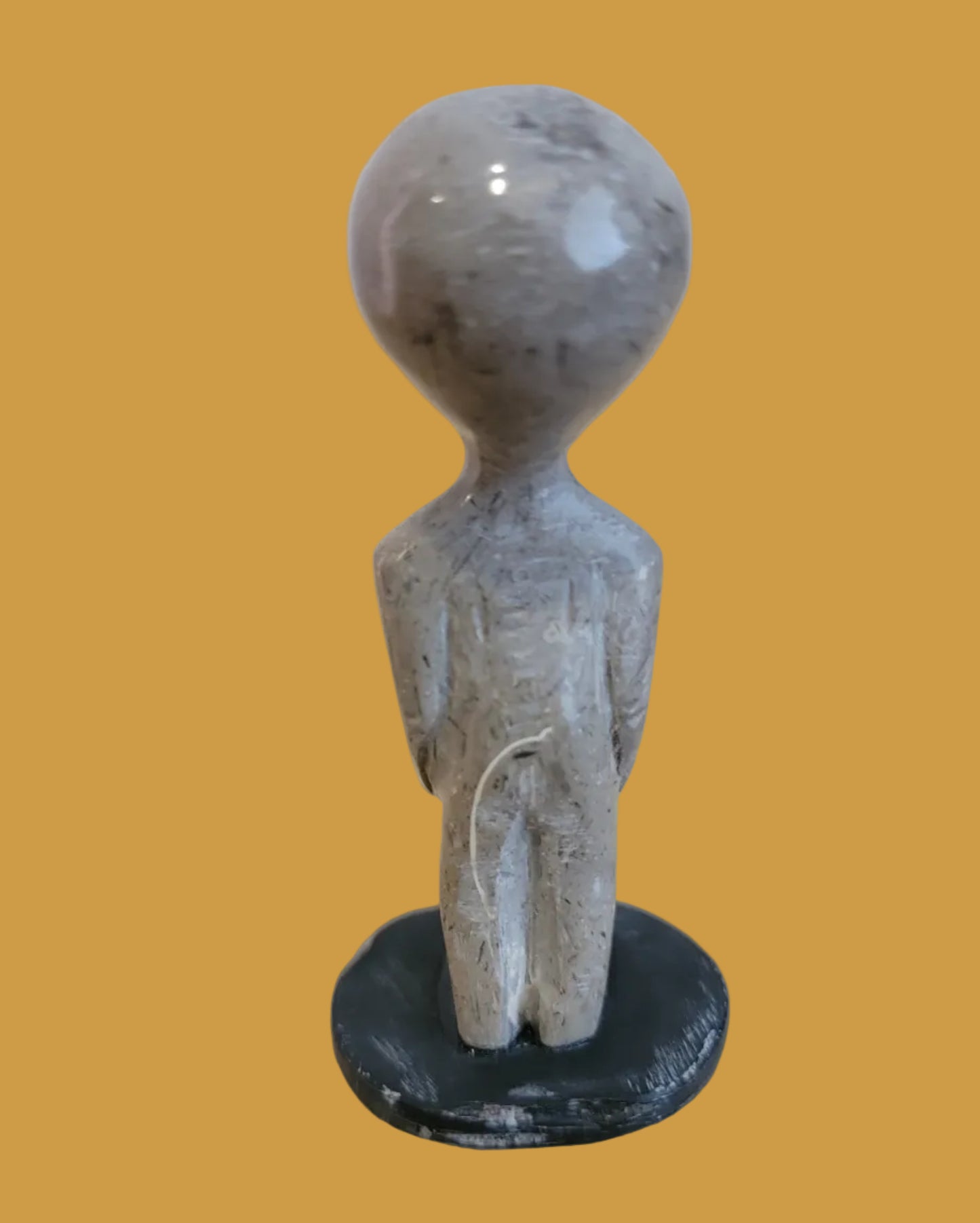 Roswell Alien  Has the Whole World In His Hands! Zuni Fetish