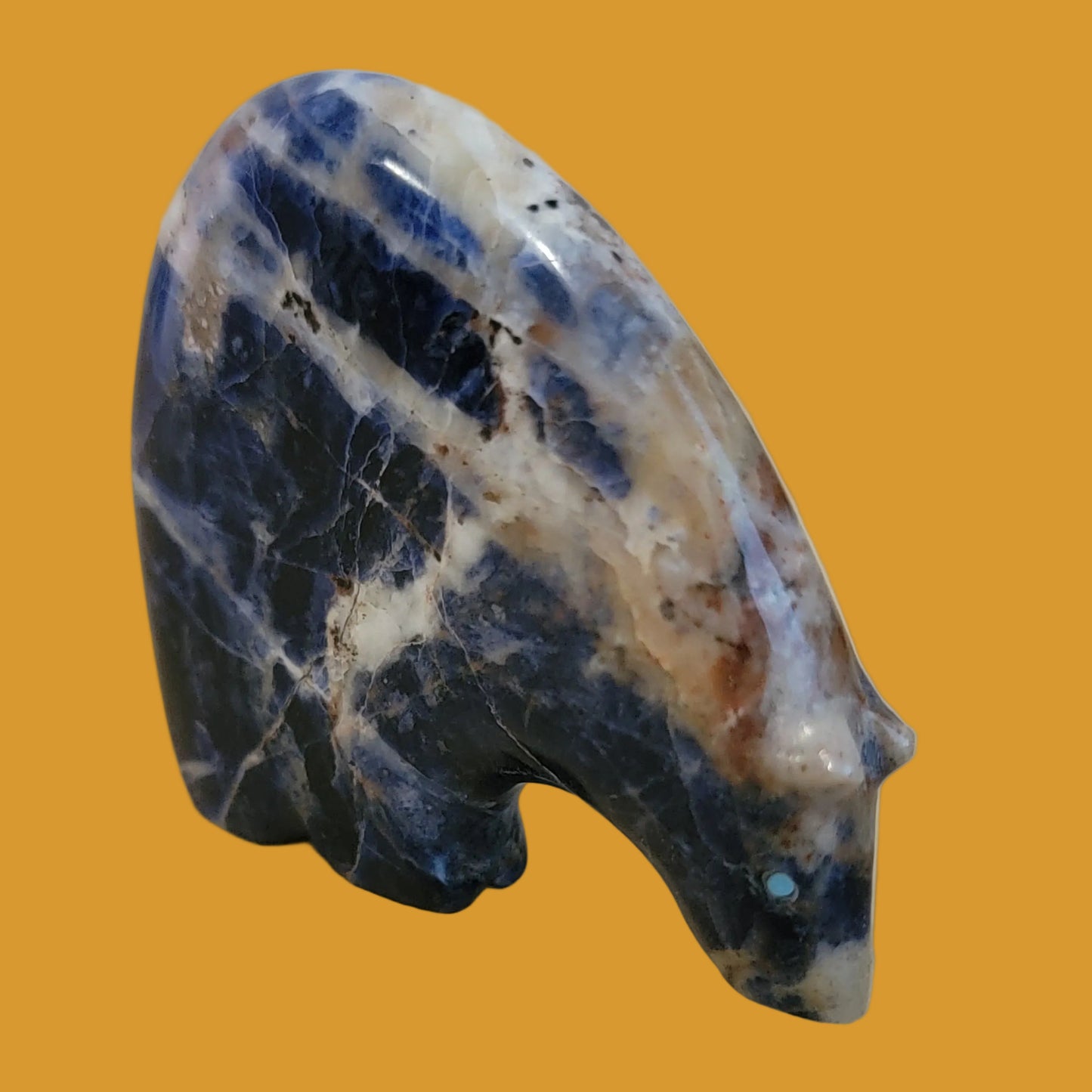 Stunning Sunset Sodalite Zuni Medicine Bear Zuni Fetish