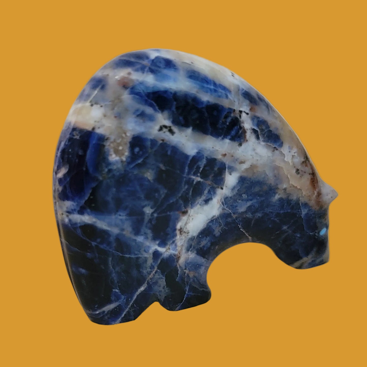 Stunning Sunset Sodalite Zuni Medicine Bear Zuni Fetish