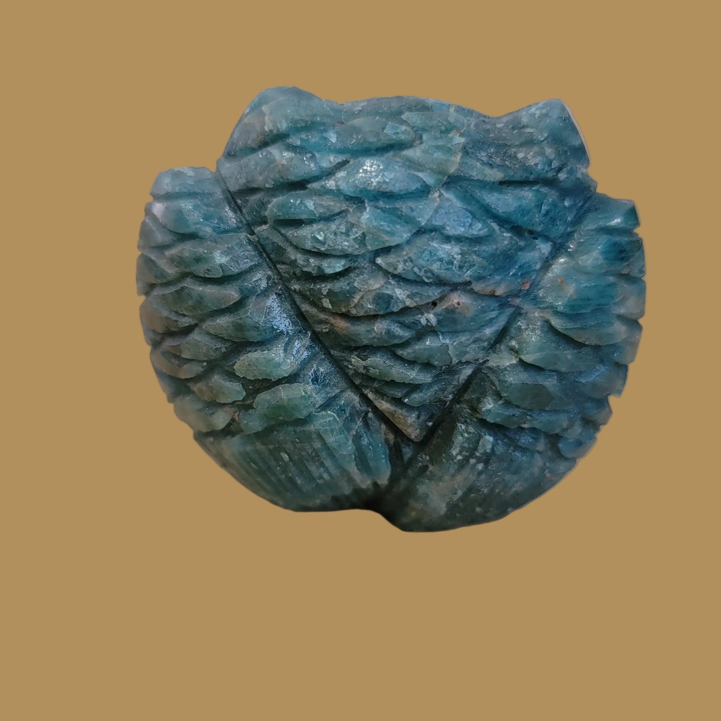 Wise and Mysterious Apatite Owl Zuni Fetish