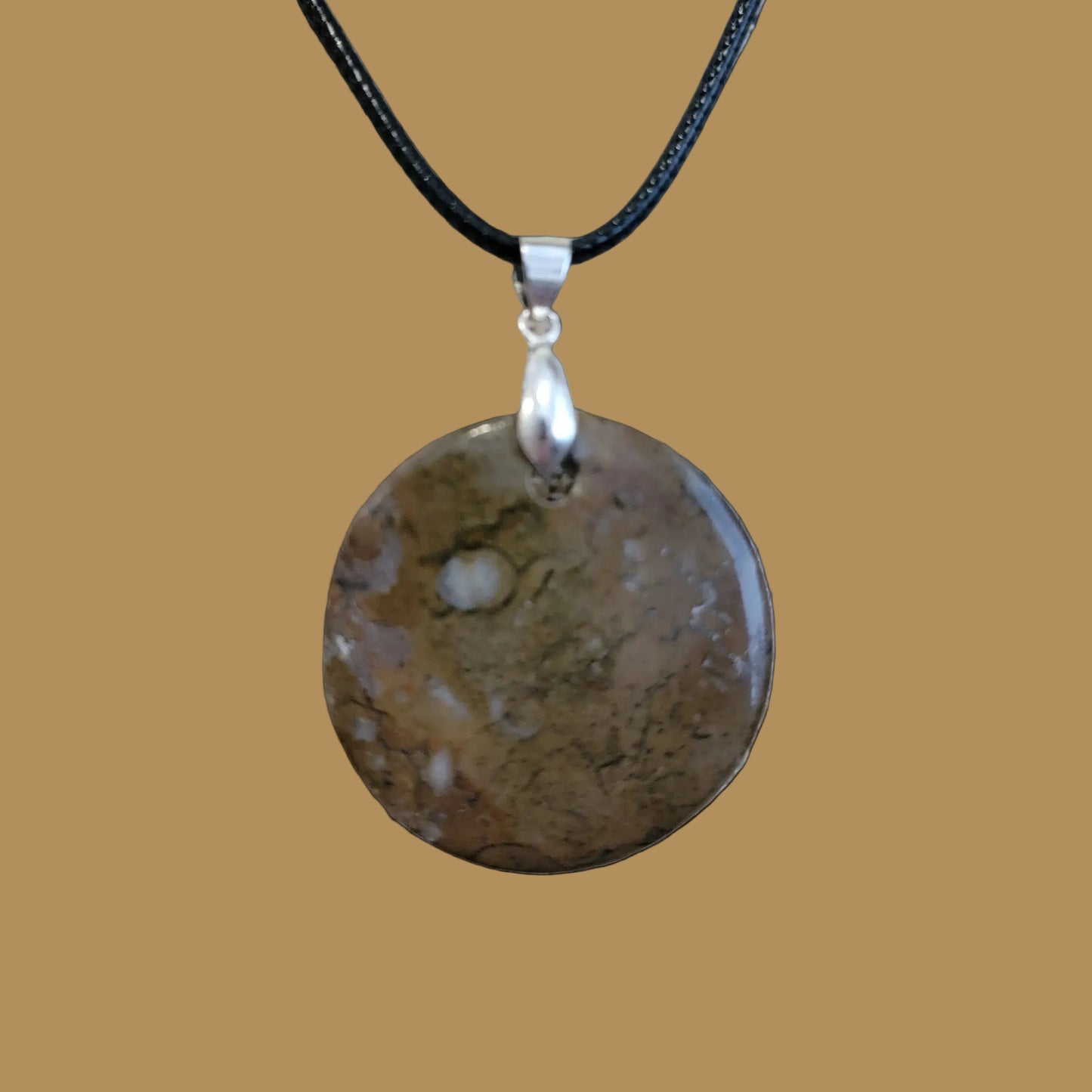 Ammonite Zuni Fetish Pendant w/ Dragonfly and Stars Indian Jewelry