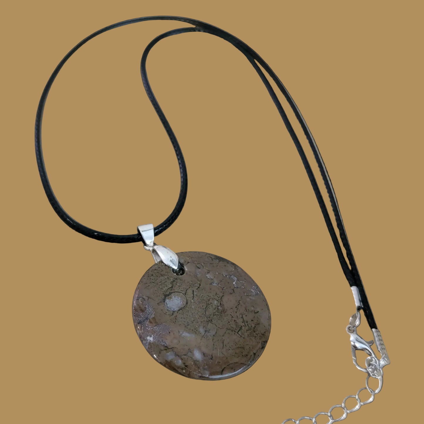 Ammonite Zuni Fetish Pendant w/ Dragonfly and Stars Indian Jewelry