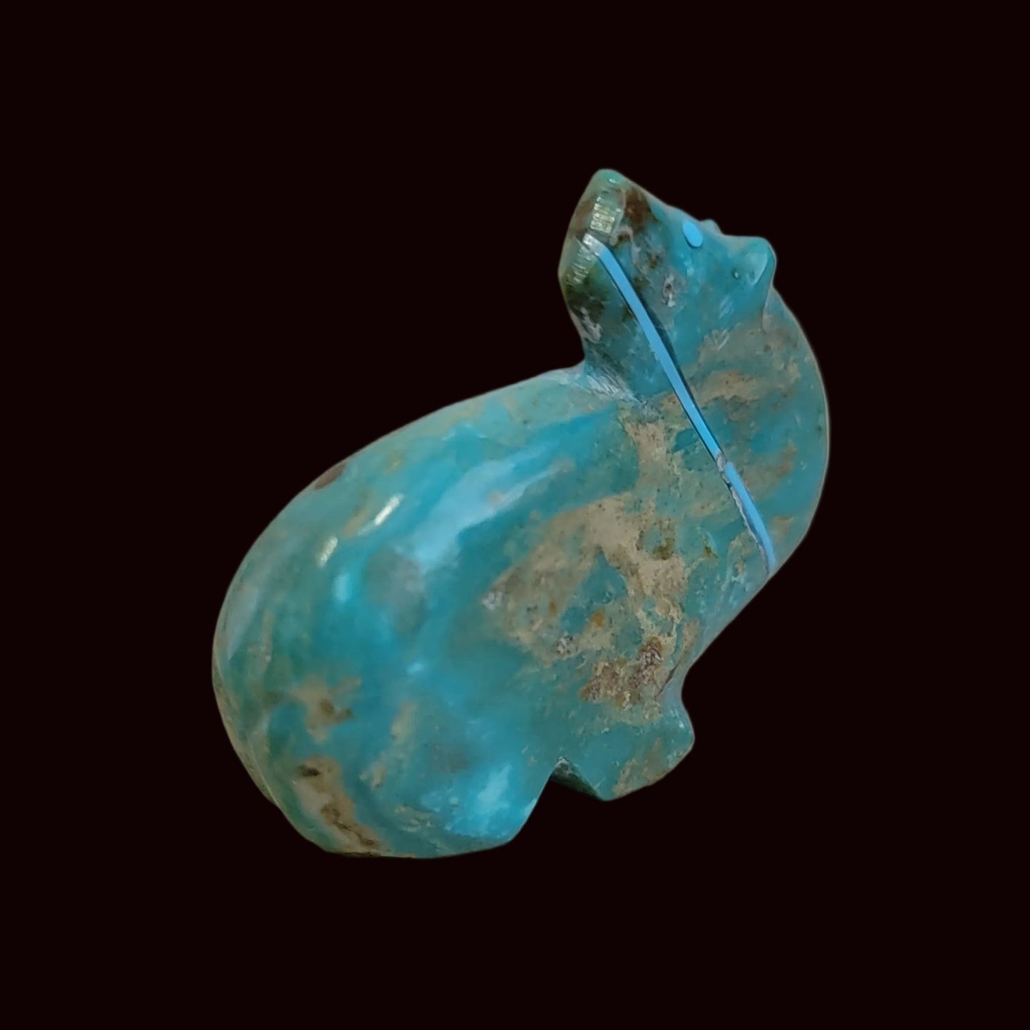 Exquisite Looking Backwards Turquoise Bear Zuni Fetish