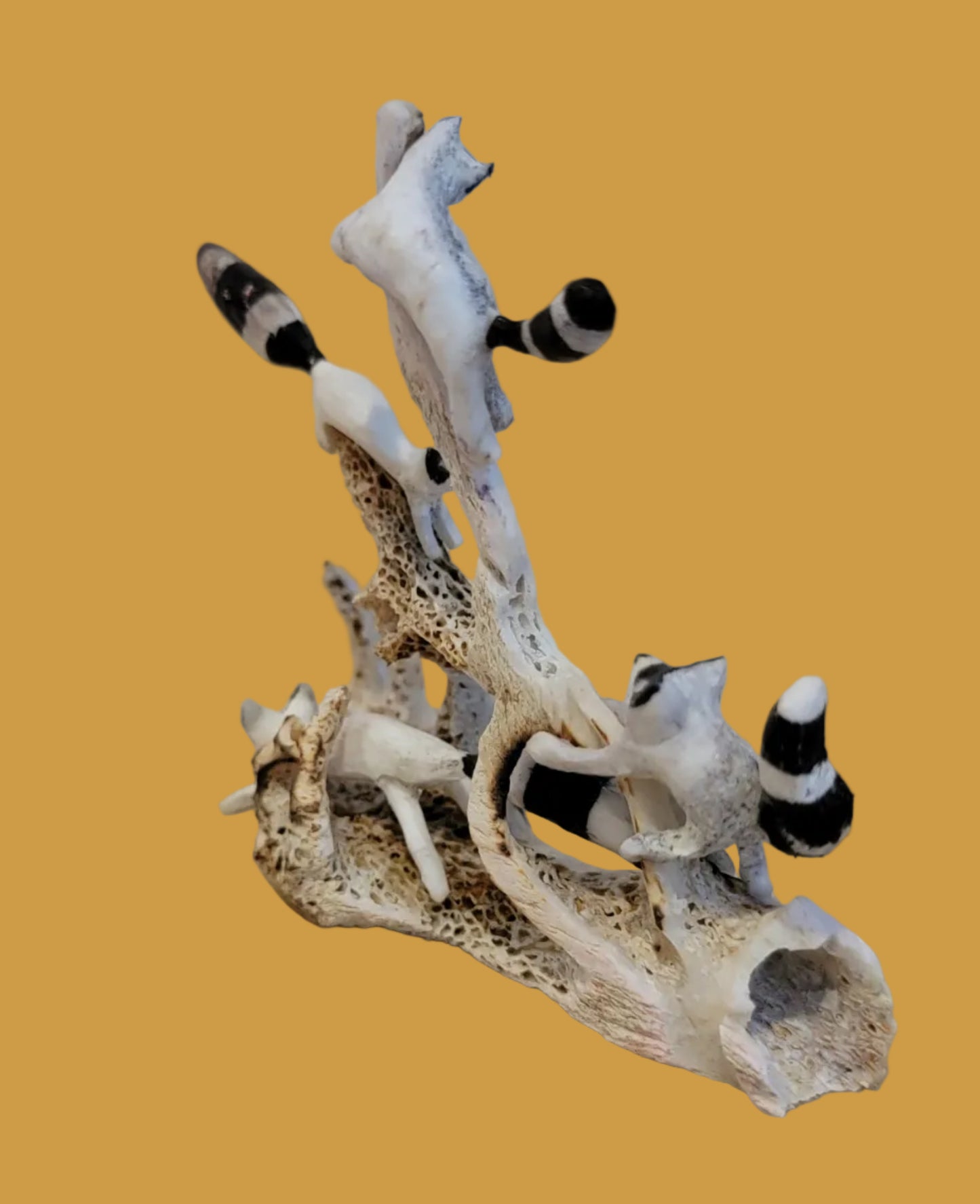 Playful Antler Raccoon Family Zuni Fetish