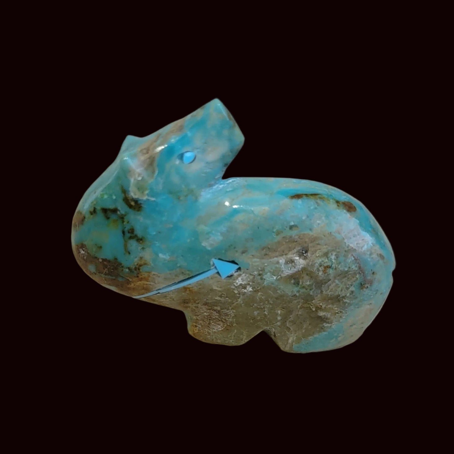 Exquisite Looking Backwards Turquoise Bear Zuni Fetish