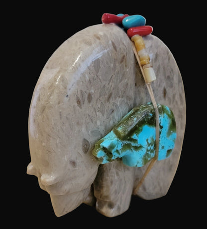 Fossil Shell Medine Bear w/ Turquoise Side Bear and Cool Bundle Zuni Fetish