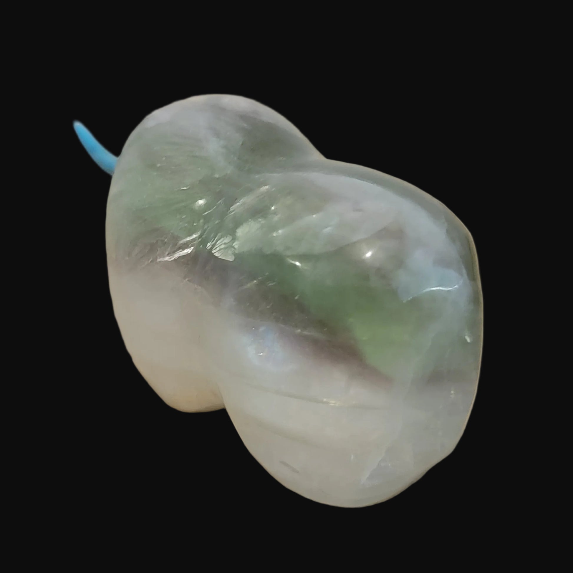 Powerful Fluorite Bison/ Buffalo Zuni Fetish