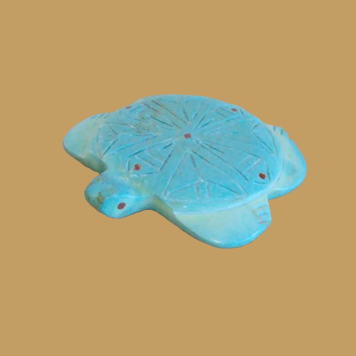 Turquoise Sea Tortoise w/Coral Appointments Zuni Fetish