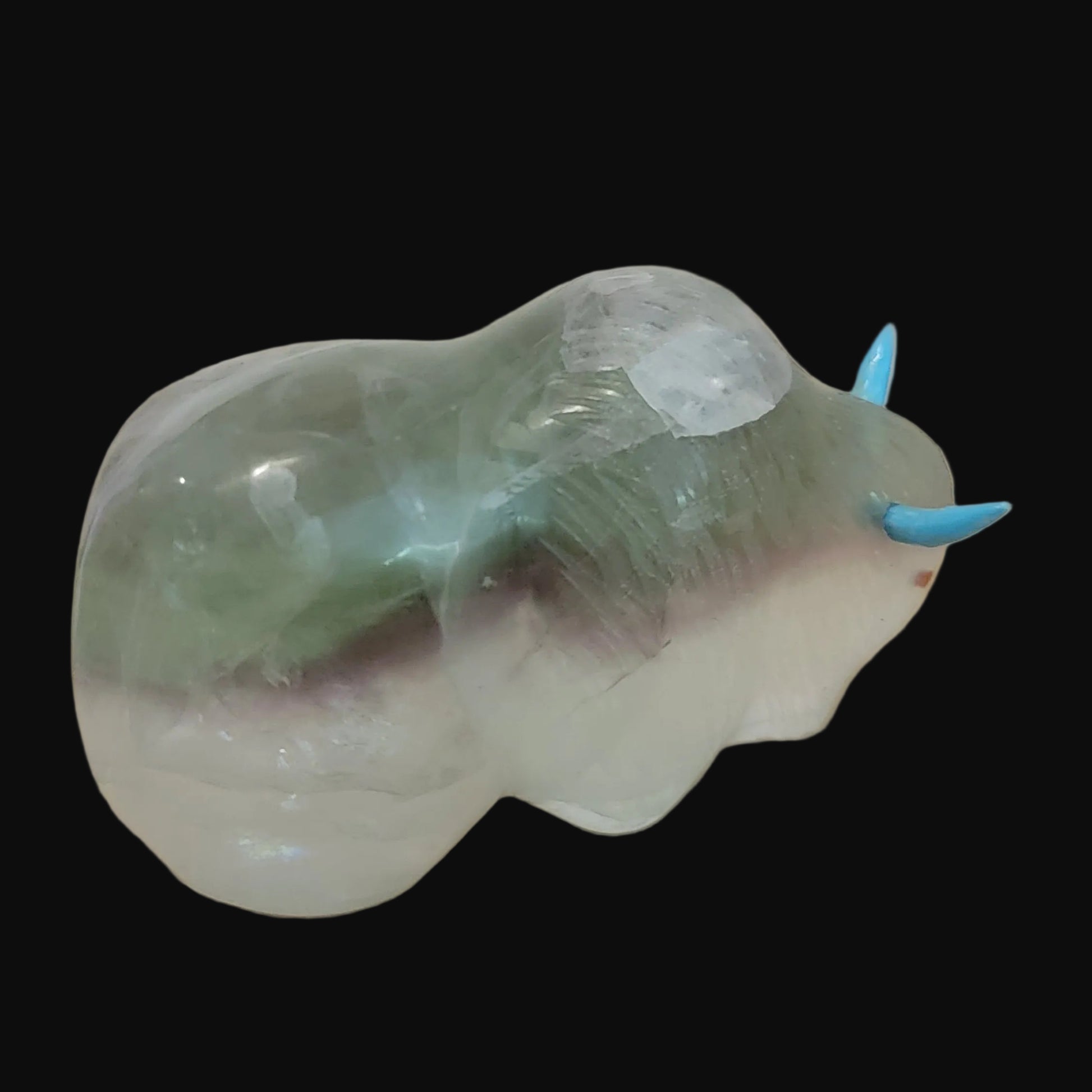 Powerful Fluorite Bison/ Buffalo Zuni Fetish