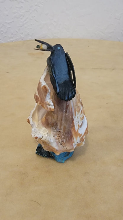 Raven w/Fish on Shell Perch Zuni Fetish