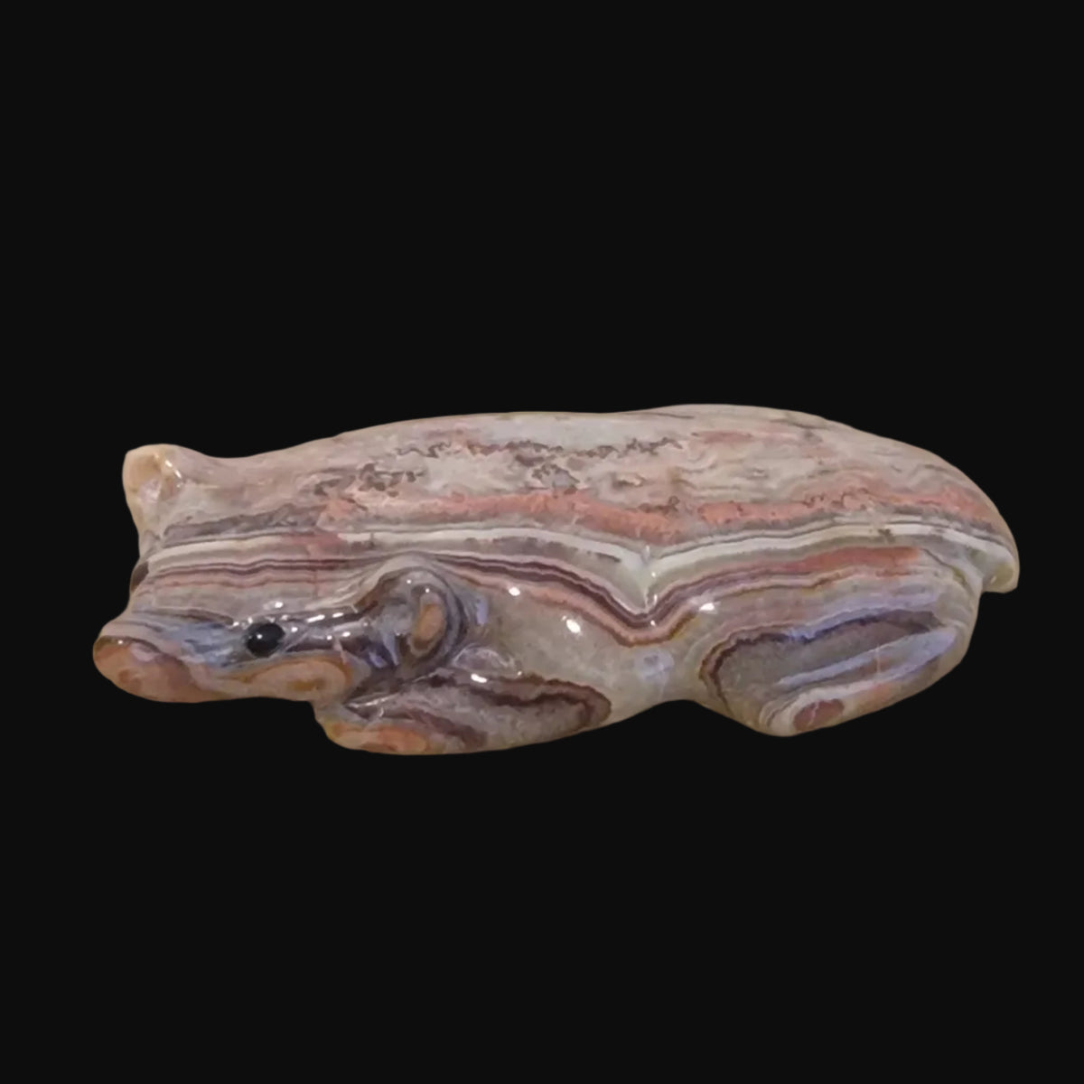 Autumn Onyx Beautiful Badger Zuni Fetish