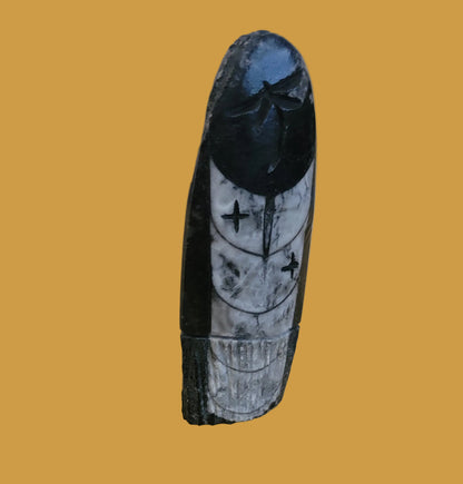 Ammonite Zuni  Corn Maiden Zuni Fetish
