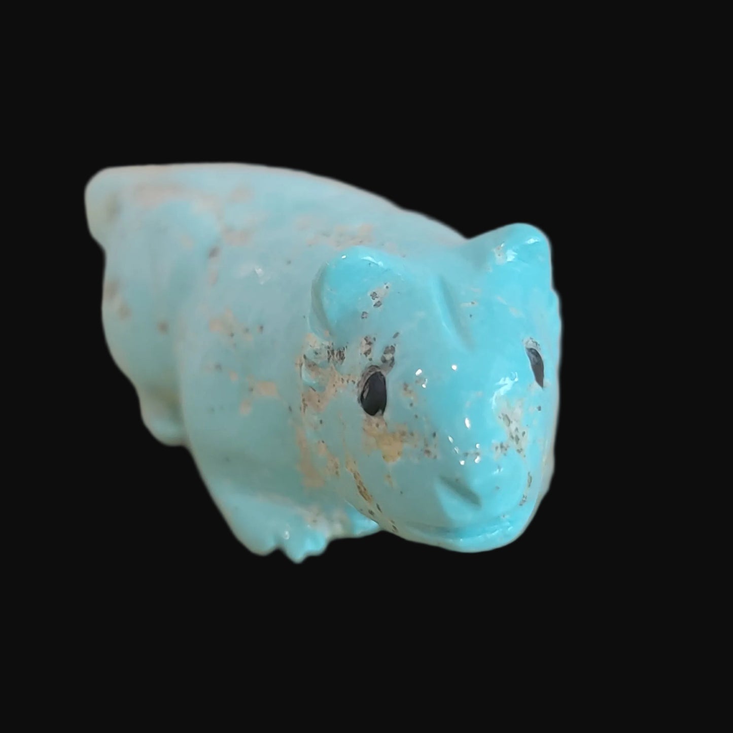Navajo Natural Fox Turquoise Clairvoyant Bobcat Zuni Fetish