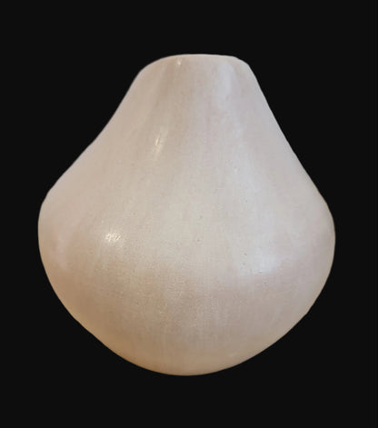 Jemez Pueblo Buffware w/ Micaeous Clay Melon Pueblo Pottery Vase