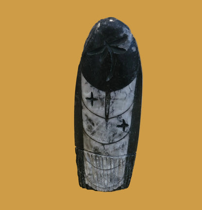 Ammonite Zuni  Corn Maiden Zuni Fetish