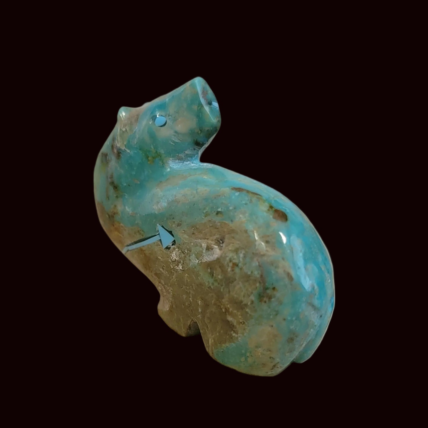 Exquisite Looking Backwards Turquoise Bear Zuni Fetish