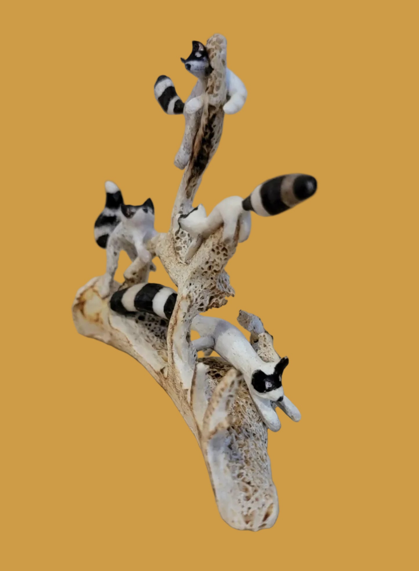 Playful Antler Raccoon Family Zuni Fetish