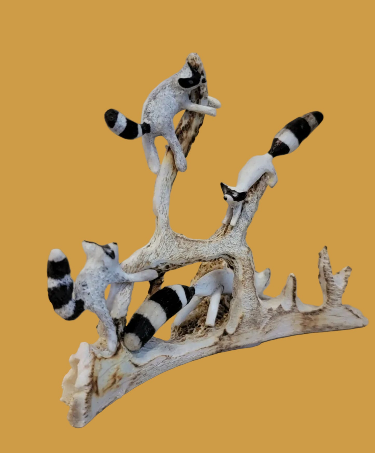 Playful Antler Raccoon Family Zuni Fetish