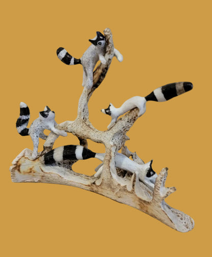 Playful Antler Raccoon Family Zuni Fetish