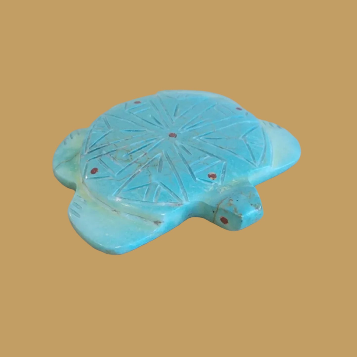 Turquoise Sea Tortoise w/Coral Appointments Zuni Fetish