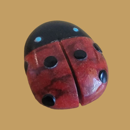 Lucky Apple Coral Zuni Fetish Ladybug