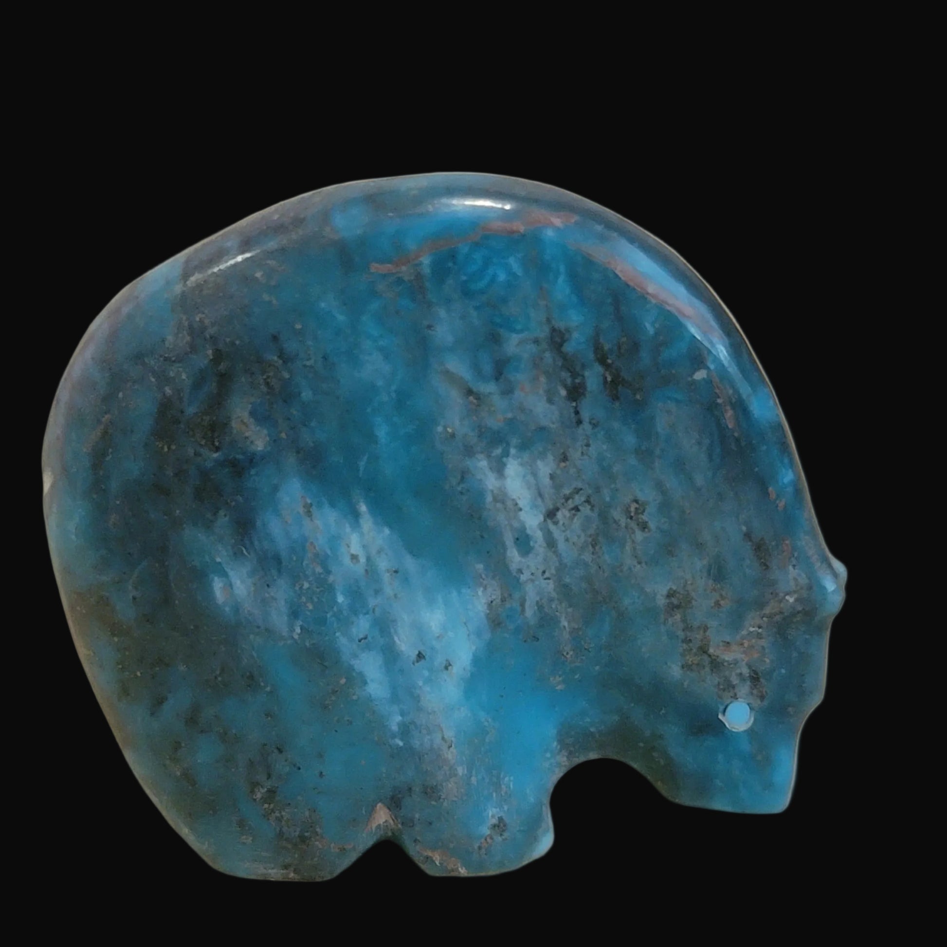 Classic Turquoise Medicine Bear Zuni Fetish