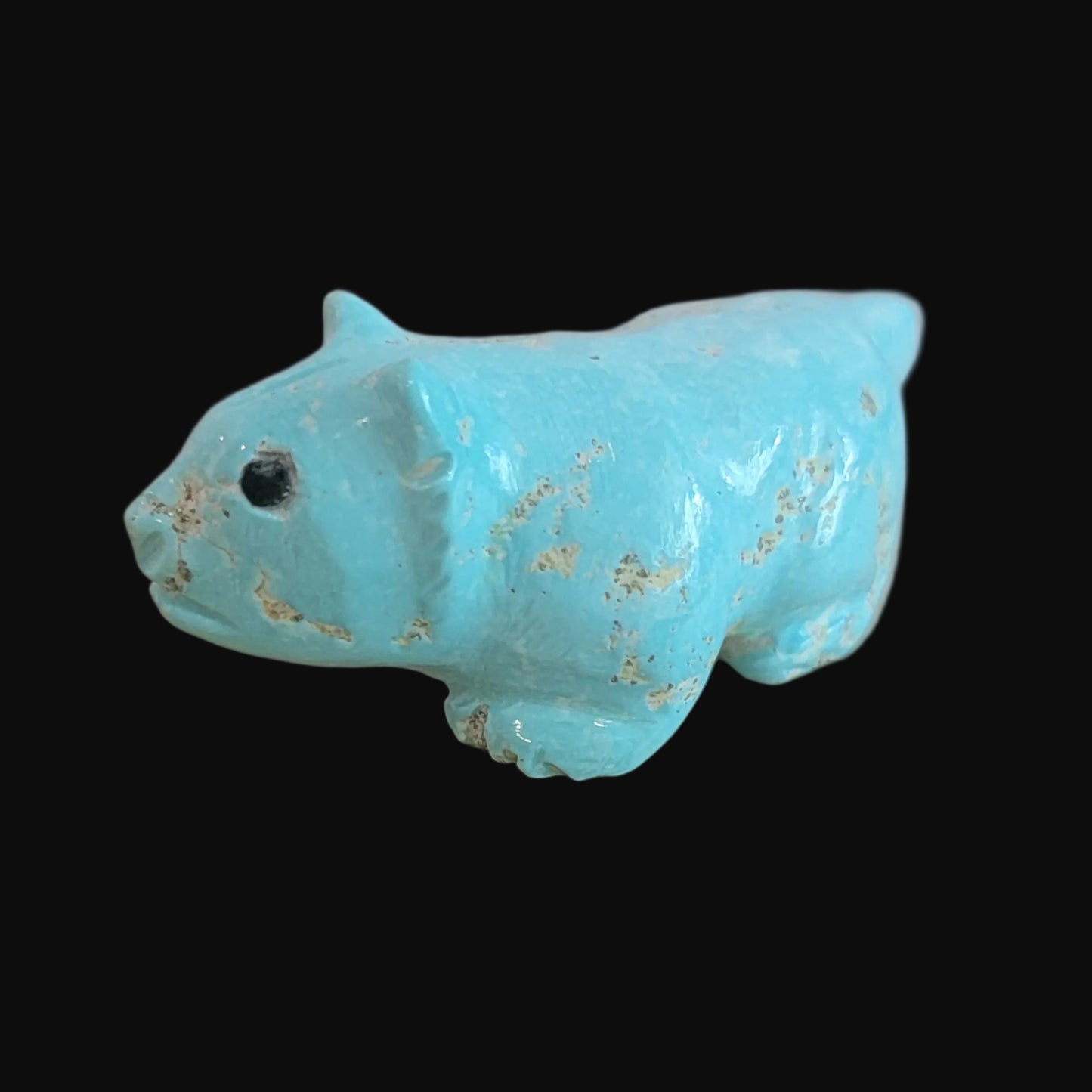 Navajo Natural Fox Turquoise Clairvoyant Bobcat Zuni Fetish