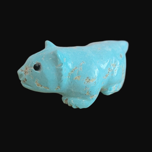 Navajo Natural Fox Turquoise Clairvoyant Bobcat Zuni Fetish