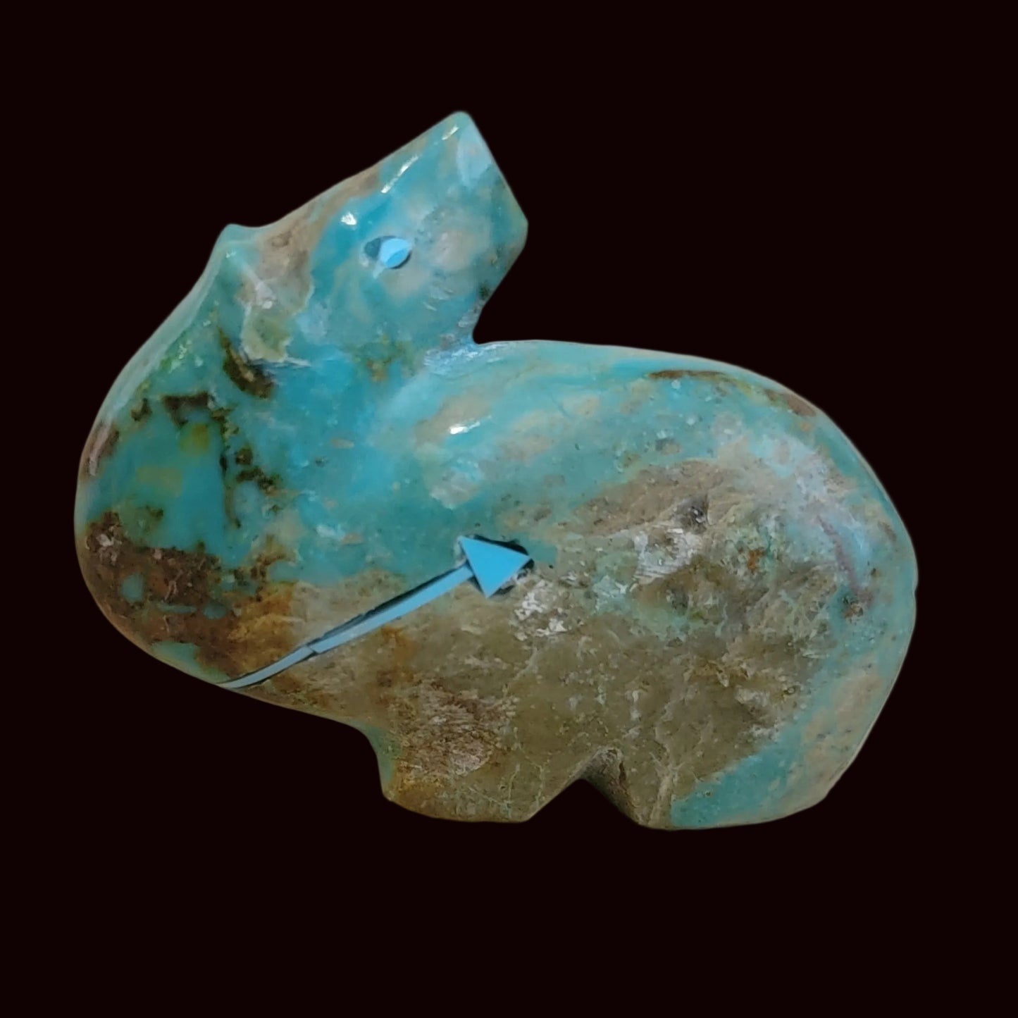Exquisite Looking Backwards Turquoise Bear Zuni Fetish