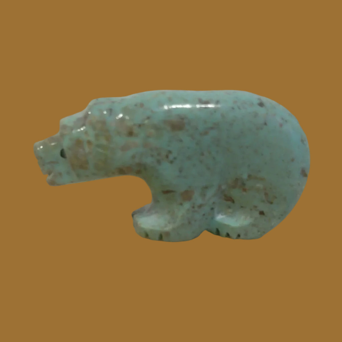 Exquisite Turquoise Maiden/Bear Zuni Fetish