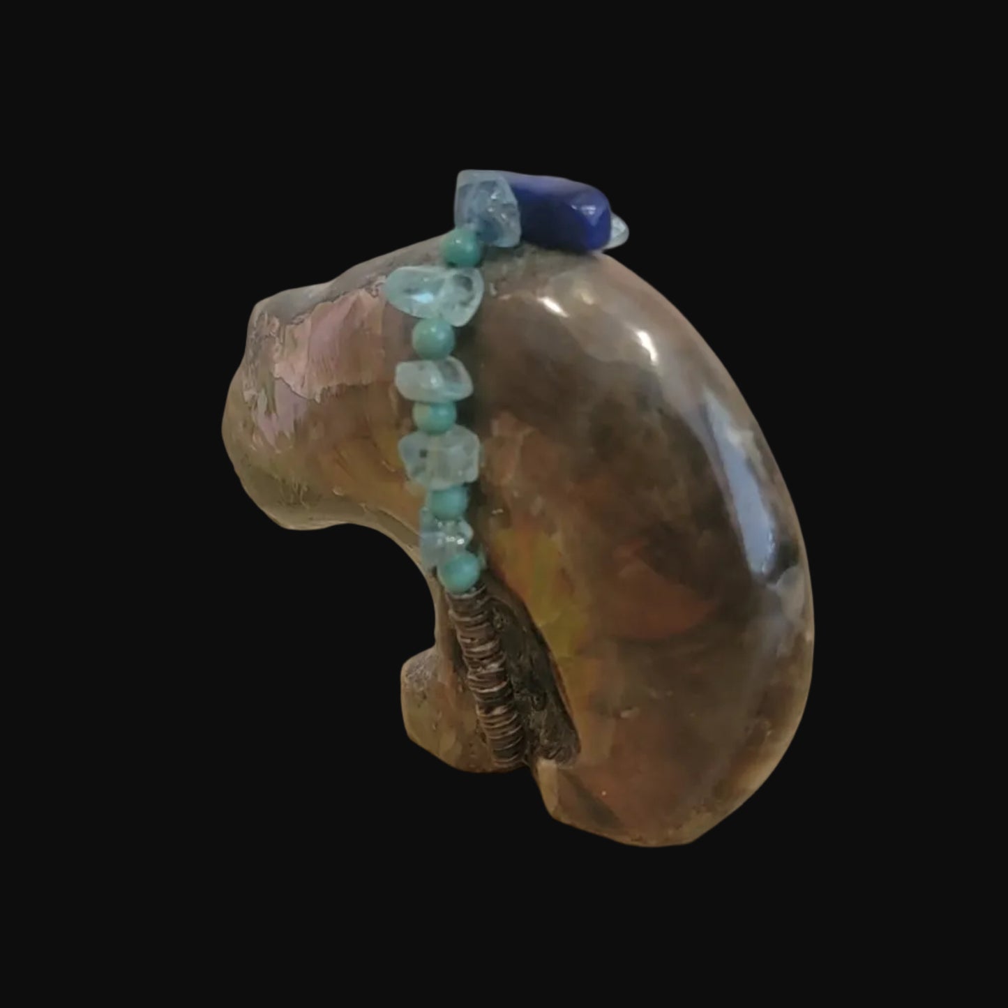 Brilliant Opalized Ammonite Bear w/Beautiful Bundle Zuni Fetish