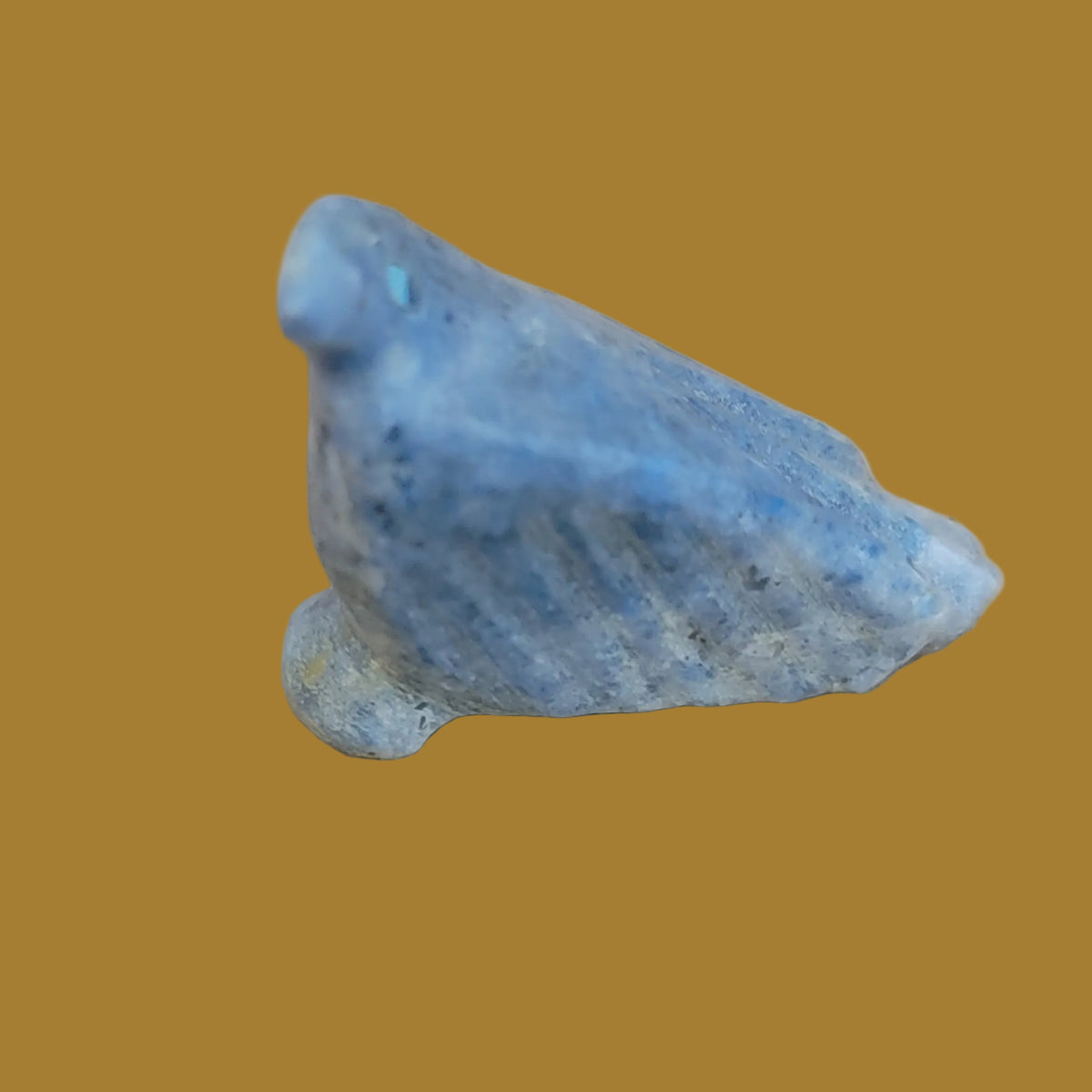 Amazonite Raven Zuni Fetish