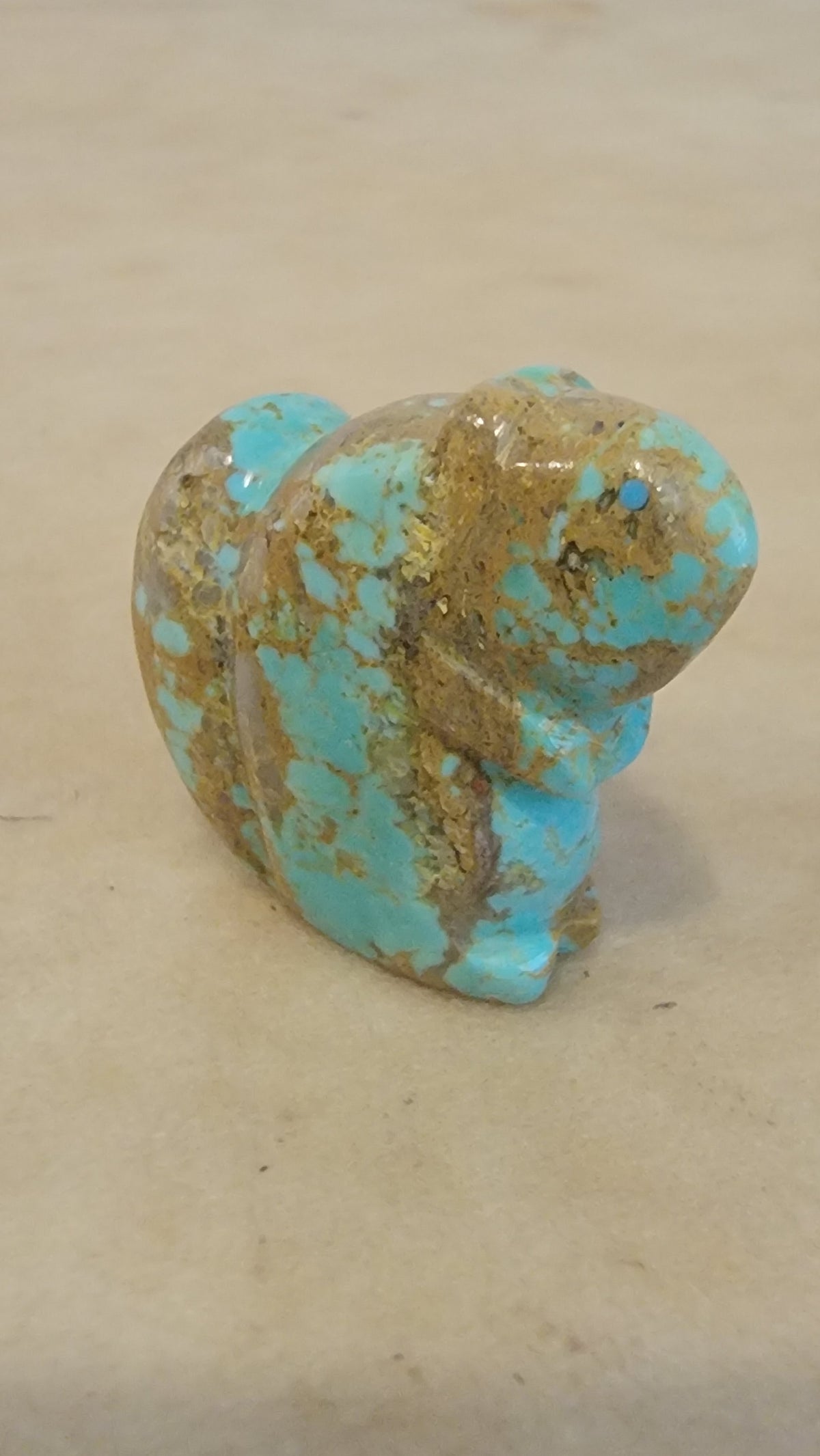 Sweet Turquoise Autumn Squirrel Zuni Fetish