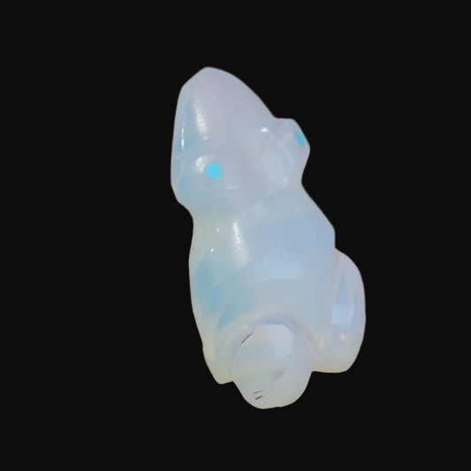 Crystalized Opal Frog Zuni Pocket Fetish