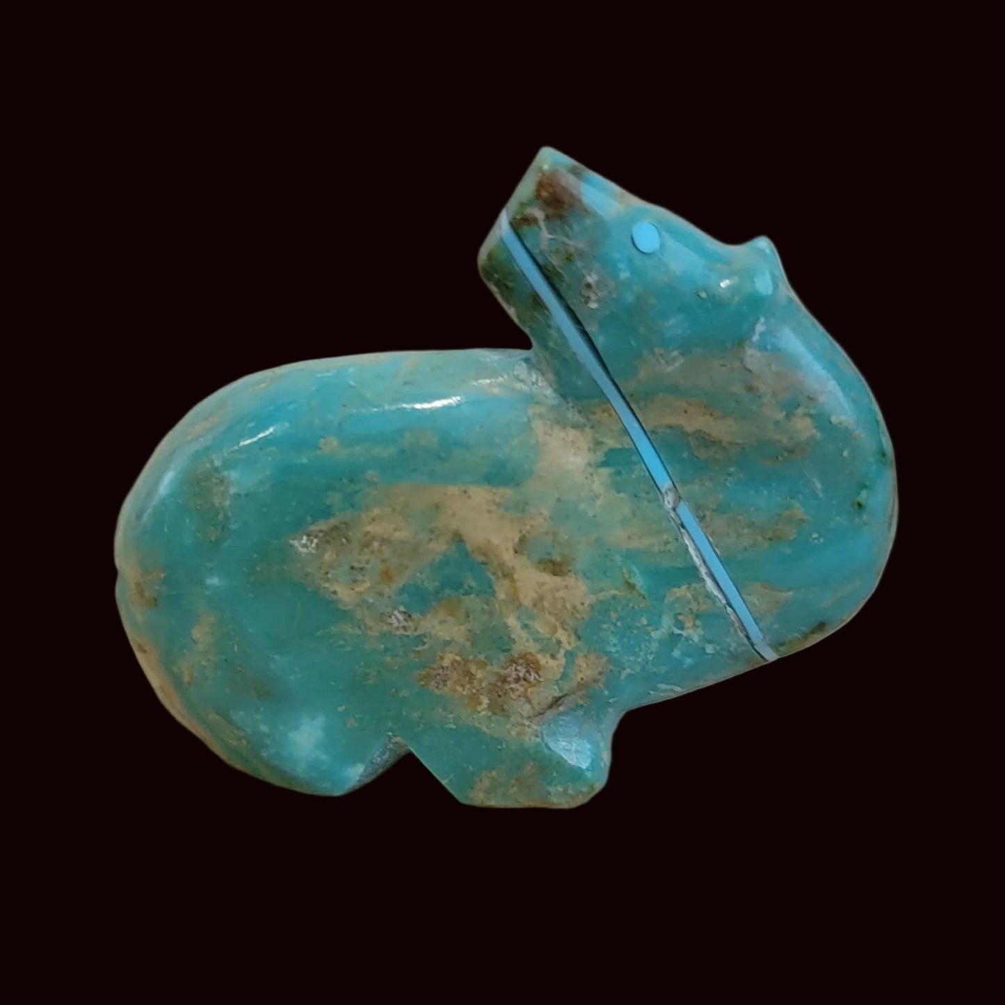 Exquisite Looking Backwards Turquoise Bear Zuni Fetish