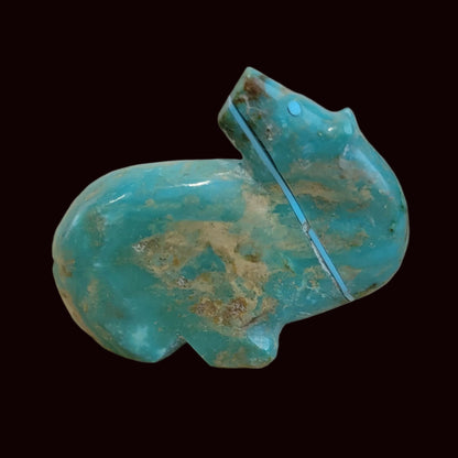 Exquisite Looking Backwards Turquoise Bear Zuni Fetish