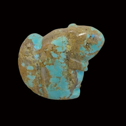 Sweet Turquoise Autumn Squirrel Zuni Fetish
