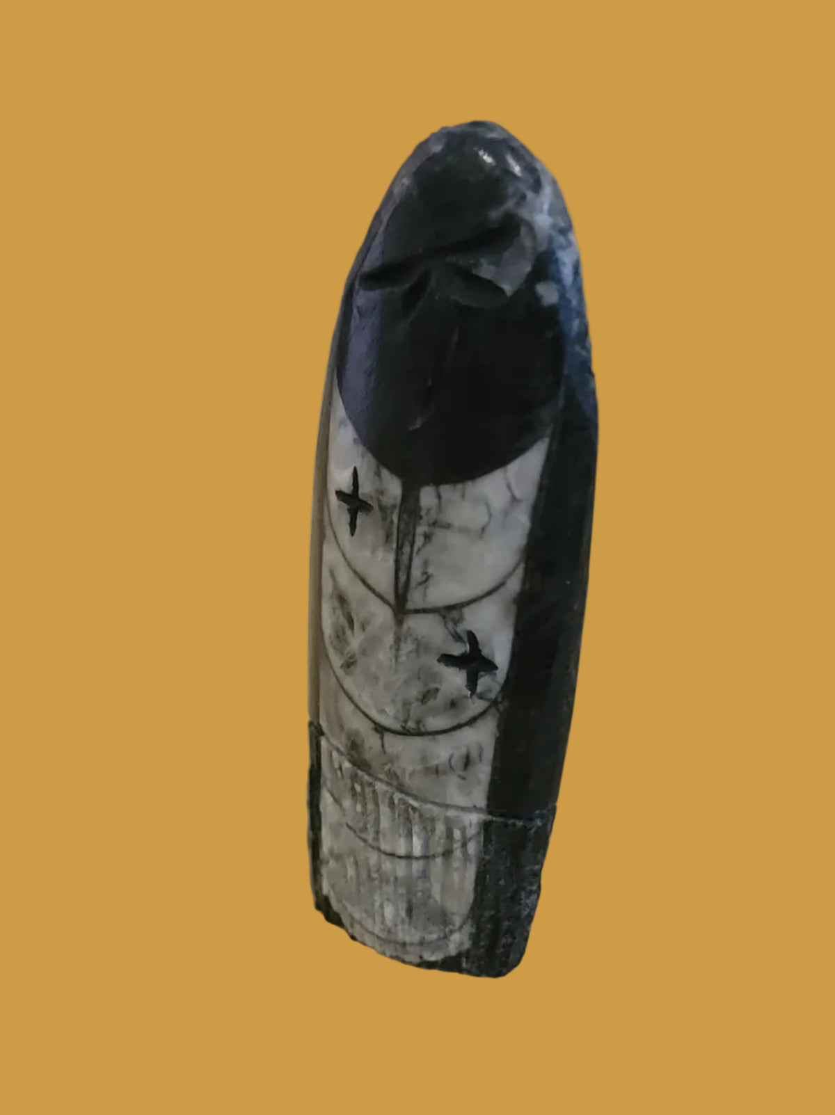Ammonite Zuni  Corn Maiden Zuni Fetish