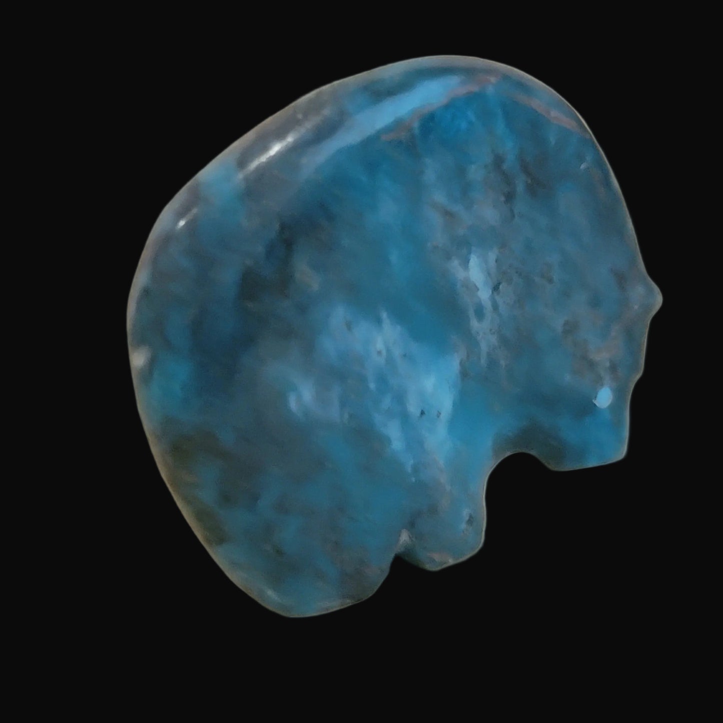 Classic Turquoise Medicine Bear Zuni Fetish