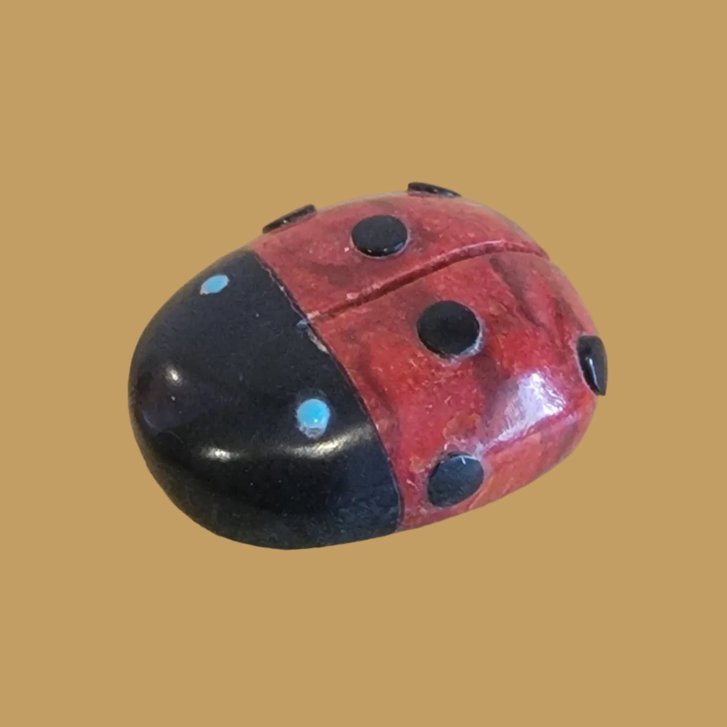 Lucky Apple Coral Zuni Fetish Ladybug
