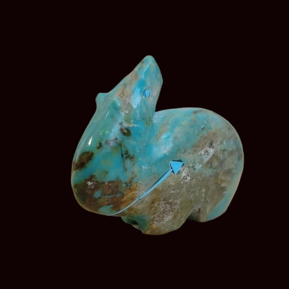 Exquisite Looking Backwards Turquoise Bear Zuni Fetish