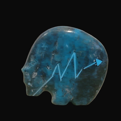 Classic Turquoise Medicine Bear Zuni Fetish
