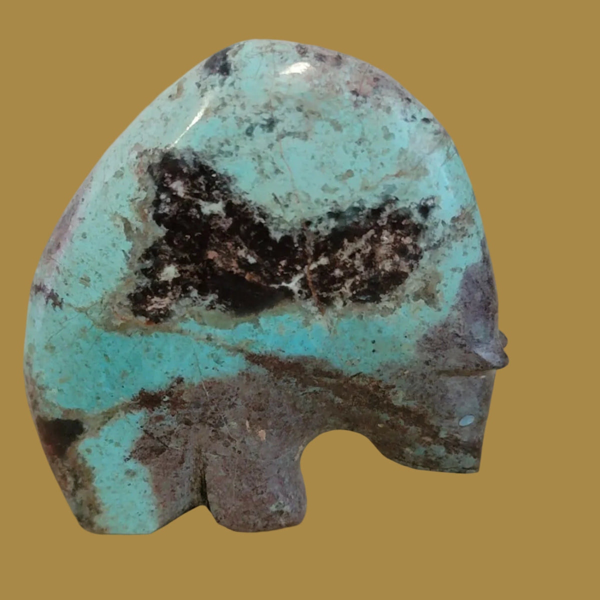 Chrysocolla Powerful Zuni Medine Bear Zuni Fetish