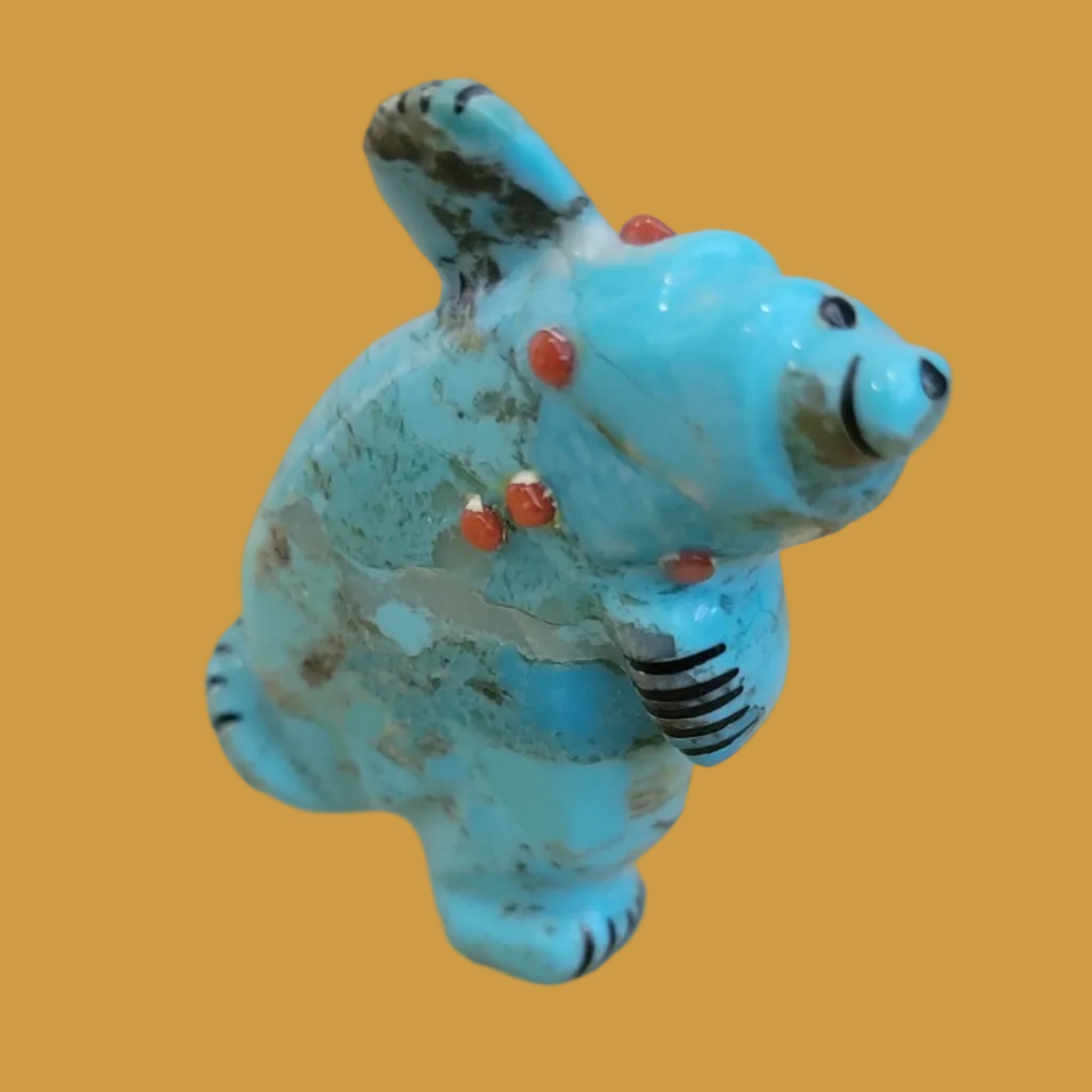 Turquoise Bear Can Balance on Both Feet Zuni Fetish
