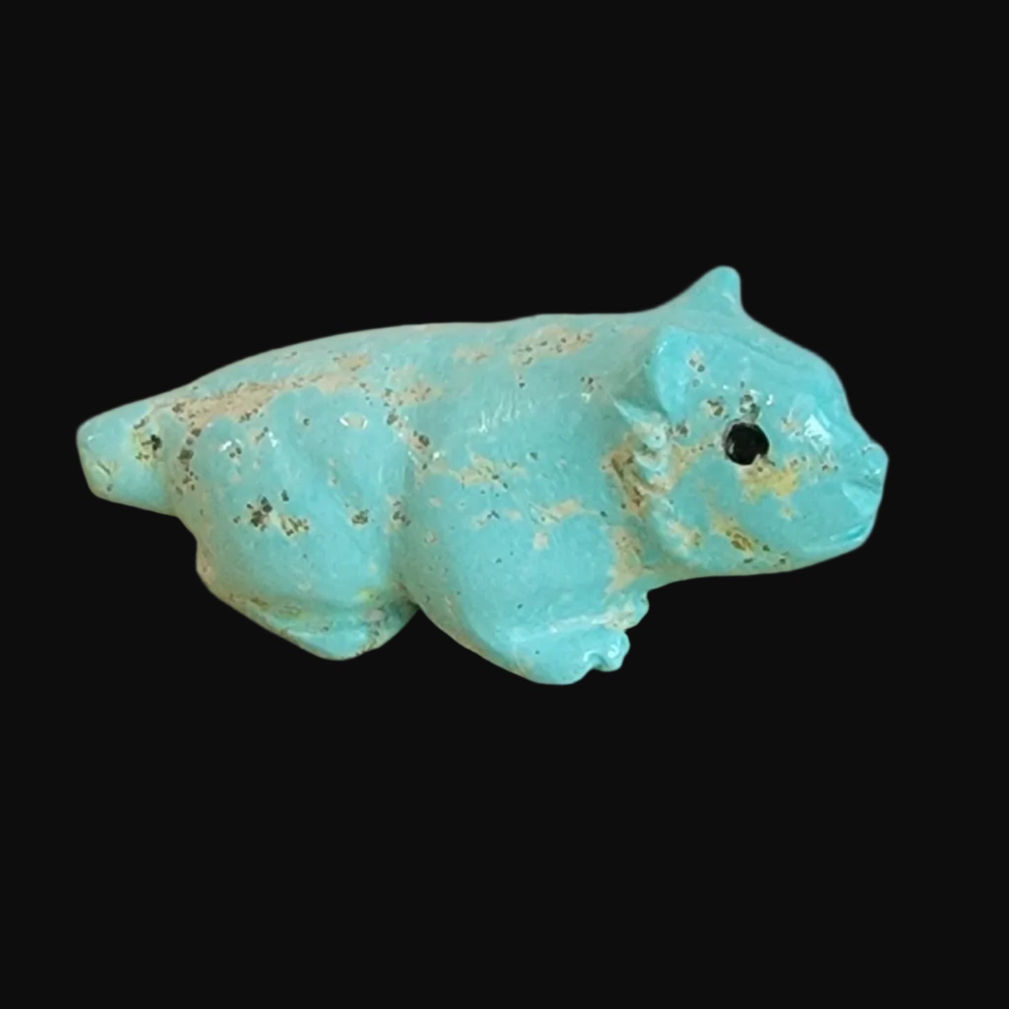 Navajo Natural Fox Turquoise Clairvoyant Bobcat Zuni Fetish